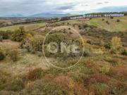 Terreno agricolo in vendita a Sant'Angelo Romano