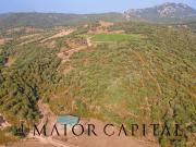 Terreno Agricolo in vendita a Calangianus