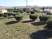 Terreno agricolo in vendita a Sant'Elpidio A Mare