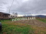 Terreno Agricolo in vendita a Sarzana