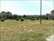 Terreno agricolo in vendita a Sarzana 5000 mq Rif: 1123247