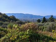 Terreno agricolo in Vendita a Sarzana