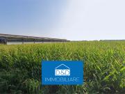 Terreno agricolo in Vendita a Savigliano