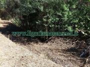 Terreno agricolo in vendita a Savona