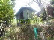 Terreno agricolo in Vendita a Savona