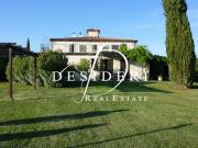 TERRENO AGRICOLO in VENDITA a SCANSANO PANCOLE