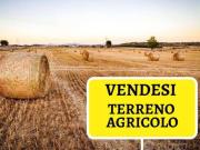 Terreno agricolo in Vendita a Schio