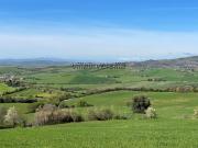 Terreno agricolo in Vendita a Semproniano