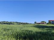 Terreno Agricolo in vendita a Serra de' Conti