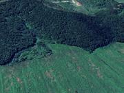 Terreno agricolo in vendita a Serra San Miniato 560000...