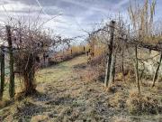 Terreno agricolo in vendita a Serralunga D'Alba