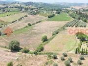 Terreno agricolo in vendita a Siena