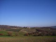 Terreno agricolo in Vendita a Siena