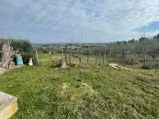 Terreno agricolo in vendita a Siena