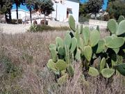 Terreno agricolo in Vendita a Siracusa