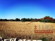 Terreno agricolo in vendita a Siracusa