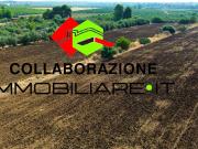 Terreno agricolo in Vendita a Siracusa