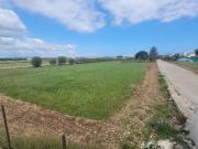 Terreno agricolo in vendita a Siracusa