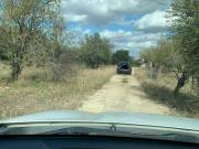 Terreno agricolo in vendita a Siracusa