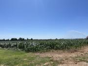 Terreno agricolo in Vendita a Sommacampagna