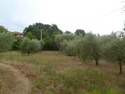 Terreno agricolo in Vendita a Sorano
