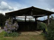 Terreno agricolo in vendita a Sovicille 17000 mq Rif:...