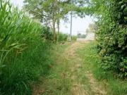 Terreno agricolo in Vendita a Sovizzo