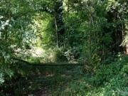 Terreno agricolo in Vendita a Sovizzo