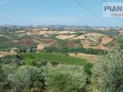 Terreno Agricolo in vendita a Spinetoli