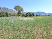 Terreno agricolo in vendita a Terracina
