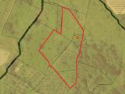 Terreno agricolo in Vendita a Terricciola