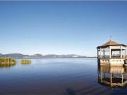Terreno agricolo in vendita a Torre Del Lago Puccini...
