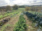 Terreno agricolo in Vendita a Traversetolo