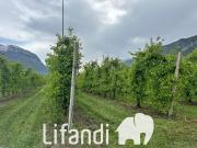 Terreno agricolo in vendita a Trento