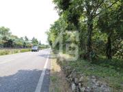 Terreno agricolo in vendita a Trieste