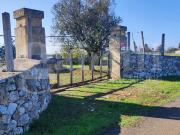 Terreno Agricolo in vendita a Ugento