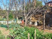 Terreno agricolo in vendita a Valverde
