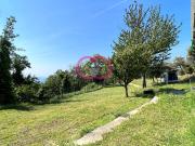 Terreno Agricolo in vendita a Varazze, Alpicella