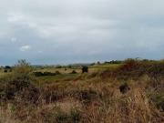 Terreno agricolo in Vendita a Velletri