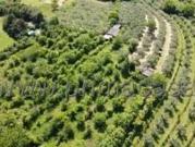 Terreno agricolo in vendita a Verona