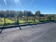 Terreno agricolo in vendita a Vetralla