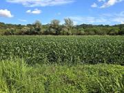 Terreno agricolo in Vendita a Vicenza
