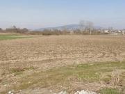 Terreno agricolo in vendita a Vinovo