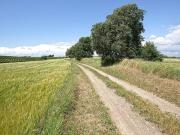 Terreno agricolo in vendita a Viterbo