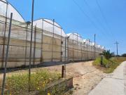 Terreno agricolo in Vendita a Vittoria