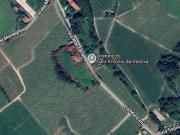 Terreno agricolo in vendita a Vittorio Veneto