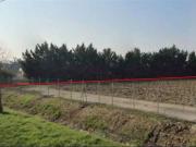 Terreno agricolo in Vendita a Zevio