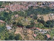 Terreno Agricolo in vendita, Arcola masignano