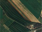 Terreno Agricolo in vendita, Bibbona marina di