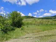 Terreno Agricolo in vendita, Borgoratto Mormorolo gabbione